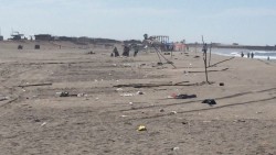 Retiran 93 toneladas de basura en playas de Ponce, El Faro, El Vigía y Poncito