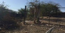 Problemas con terrenos abandonados en colonia Lázaro Cárdenas