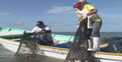 Piden ampliar temporada de pesca o apoyos del PET