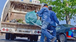 Recolectaron 260 toneladas de basura