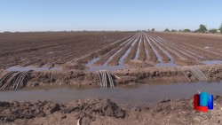 CONAGUA apoya a Distritos de Riego