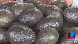 Varía costo de Frutas y Verduras