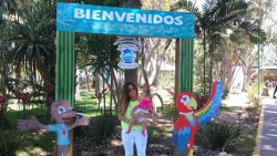 Miles de turistas visitan el Acuario Mazatlán
