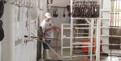 Concretan inversiones para rastro TIF en Mazatlán