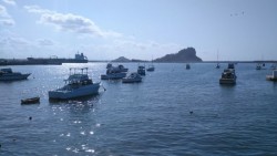Desde Monterrey y Chihuahua vienen a la pesca deportiva