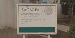 Anuncian maiceros movilización ante falta de pagos