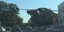 Ya están funcionando semáforos por Insurgentes y Lázaro Cárdenas