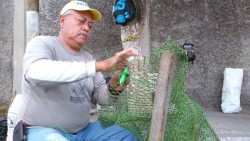 Tejiendo redes....y el futuro