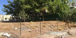 Exigen se cumpla conservar área verde en Fraccionamiento Santa Fe