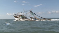 Falta reforzar vigilancia para evitar pesca furtiva