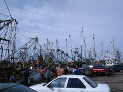 Se buscan oportunidades de empleo alternativo a pescadores