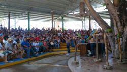 Miles de turistas visitan el Acuario