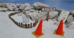 Protección para desove de tortuga marina aumenta