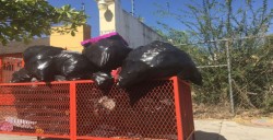 No pasa el camión de la basura por la Carlos Lineo