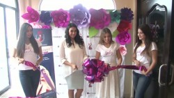 Se realiza la primera edición de Lady Market