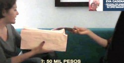 PGR busca a la "recaudadora" en Veracruz
