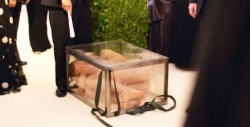 Artista arrestado por desnudo en la gala MET de Nueva York