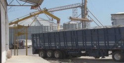 No hay garantía de que otorguen recursos complementarios a maiceros