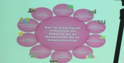 CODESIN busca establecer proyectos
