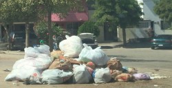 Problema de basura en Villa Fontana y Riveras del Humaya