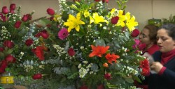 Dan a conocer los precios de las flores para este día de las Madres