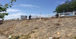 Realizan trabajos en reposición de barandal sobre puente Almada