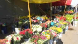 Buena venta de flores durante 10 de mayo