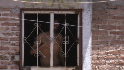 Charly, permanece encerrado en su propia casa desde hace 30 años