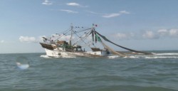 CONAPESCA debe seguir con operativos para evitar la pesca furtiva