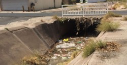 Con basura y agua estancada se encuentra el arroyo de Villa Fontana