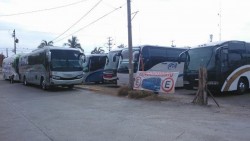 Turismo chartero aprovecha puente y visita Mazatlán