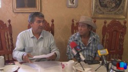 Exigen Apicultores alto a tala de árboles