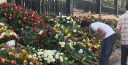 Llama la atención ofrendas colocadas en las escalinatas de Catedral