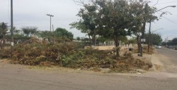 En Terranova se preparan para la temporada de lluvias