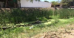 Lleno de ramas el arroyo en la colonia Amistad
