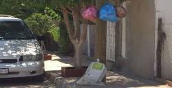 Esperan paso del camión de la basura en colonia Amistad