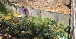 Llantas, restos de electrodomésticos y agua estancada en arroyo de Emiliano Zapata
