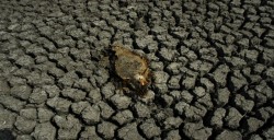 Desastres naturales se han duplicado en los últimos 30 años: ONU