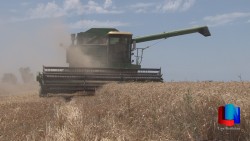 Satisfechos productores por reunión con SAGARPA