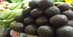 Se cotiza aguacate en 75 pesos