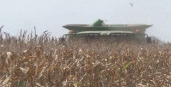 Esperan una respuesta Productores de Sinaloa