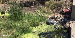 Lo limpian pero siguen tirando basura