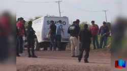 Encuentran hielera con restos humanos