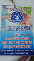 Se realizará congreso AA en Mazatlán