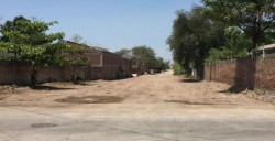 Limpian y raspan calle de la Díaz Ordaz