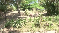 Del 3 al 5 de junio se realizará foro ambiental