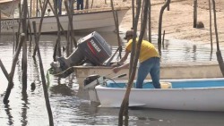 Buscarán apoyos a pescadores