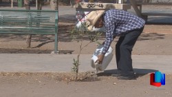 Plantan árboles en el Día del Medio Ambiente