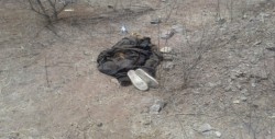 Encuentran el  cuerpo de una personas en estado de descomposición en La Laguna Colorada