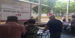 Se organiza SEDESOL para entregar pago bimestral del 65 y más